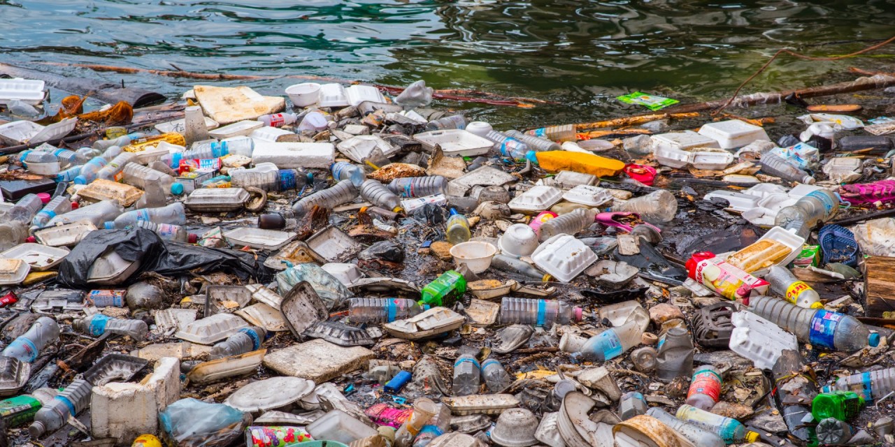 Ban on disposable plastic